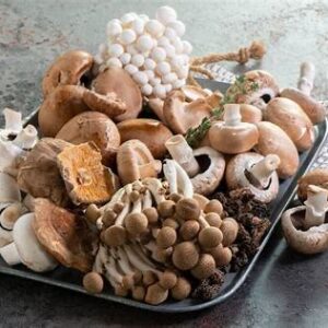 Functional mushrooms